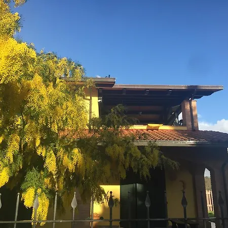 Umbria Hébergement de vacances Torgiano